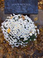 Portrait of Jan Bartosik